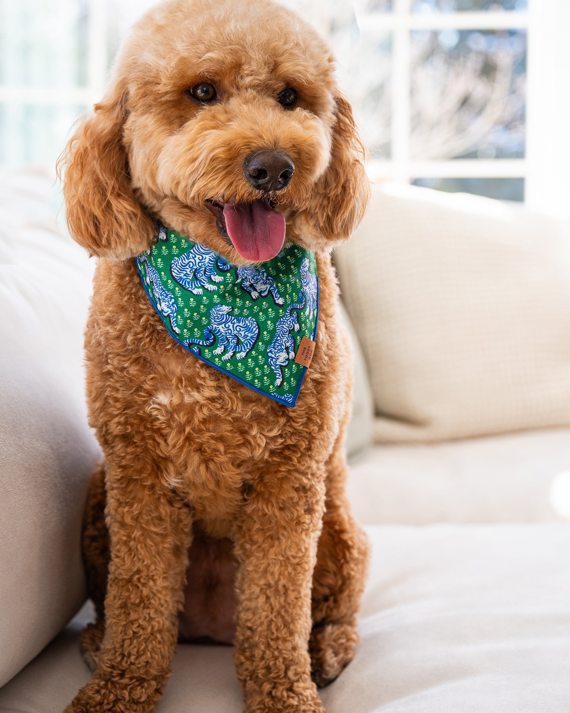 PF x The Foggy Dog Tiger Queen - Short Set & Dog Bandana Bundle