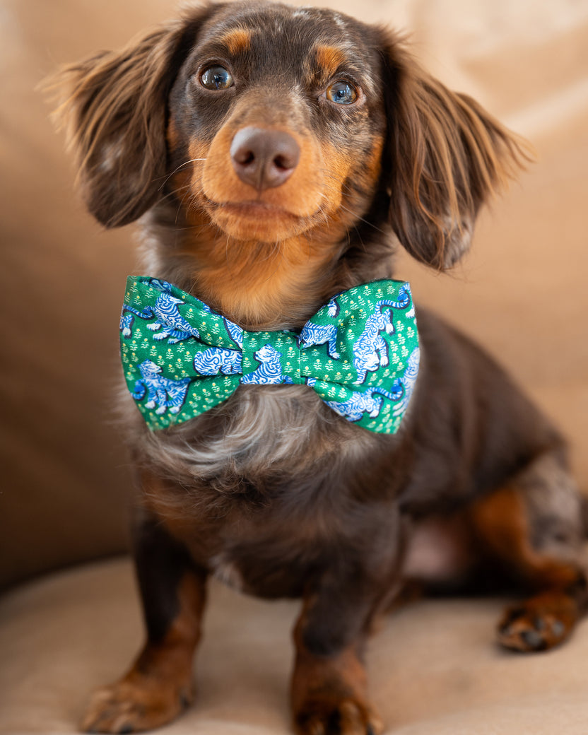PF x The Foggy Dog Tiger Queen - Dog Bow Tie - Jade - Printfresh