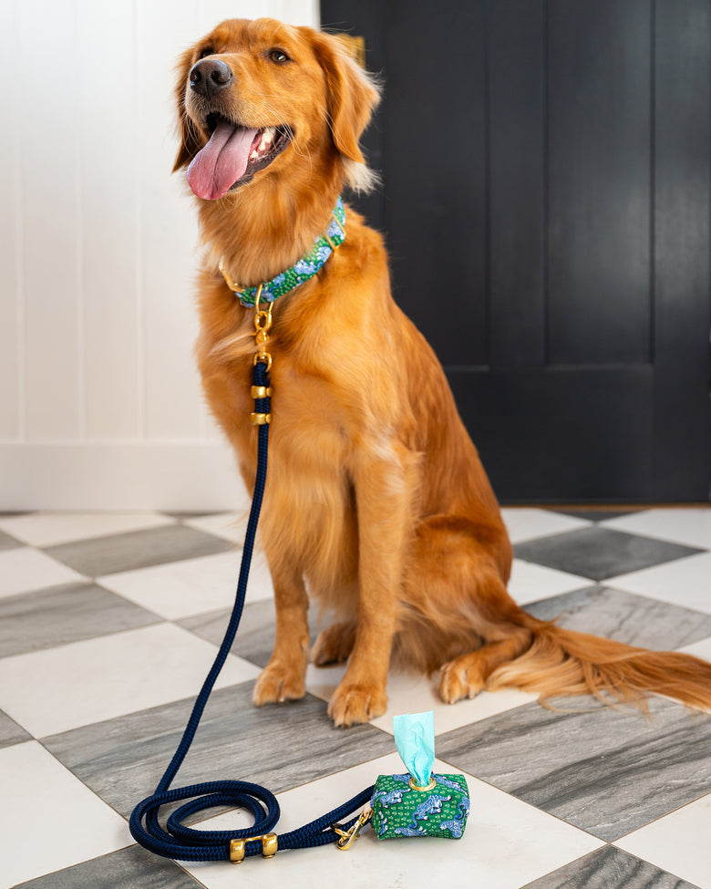 PF x The Foggy Dog - Marine Rope Dog Leash - Ocean - Printfresh