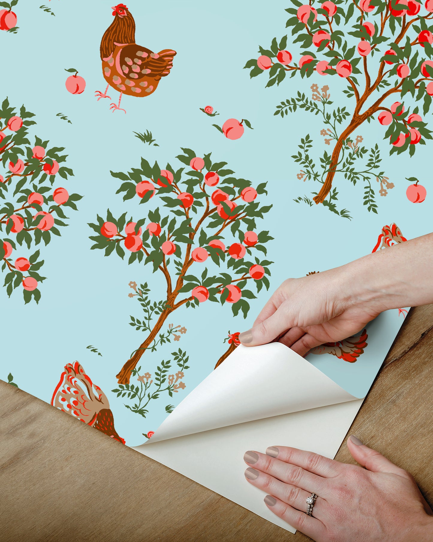 Hen House - Peel & Stick Wallpaper - Aqua - Printfresh