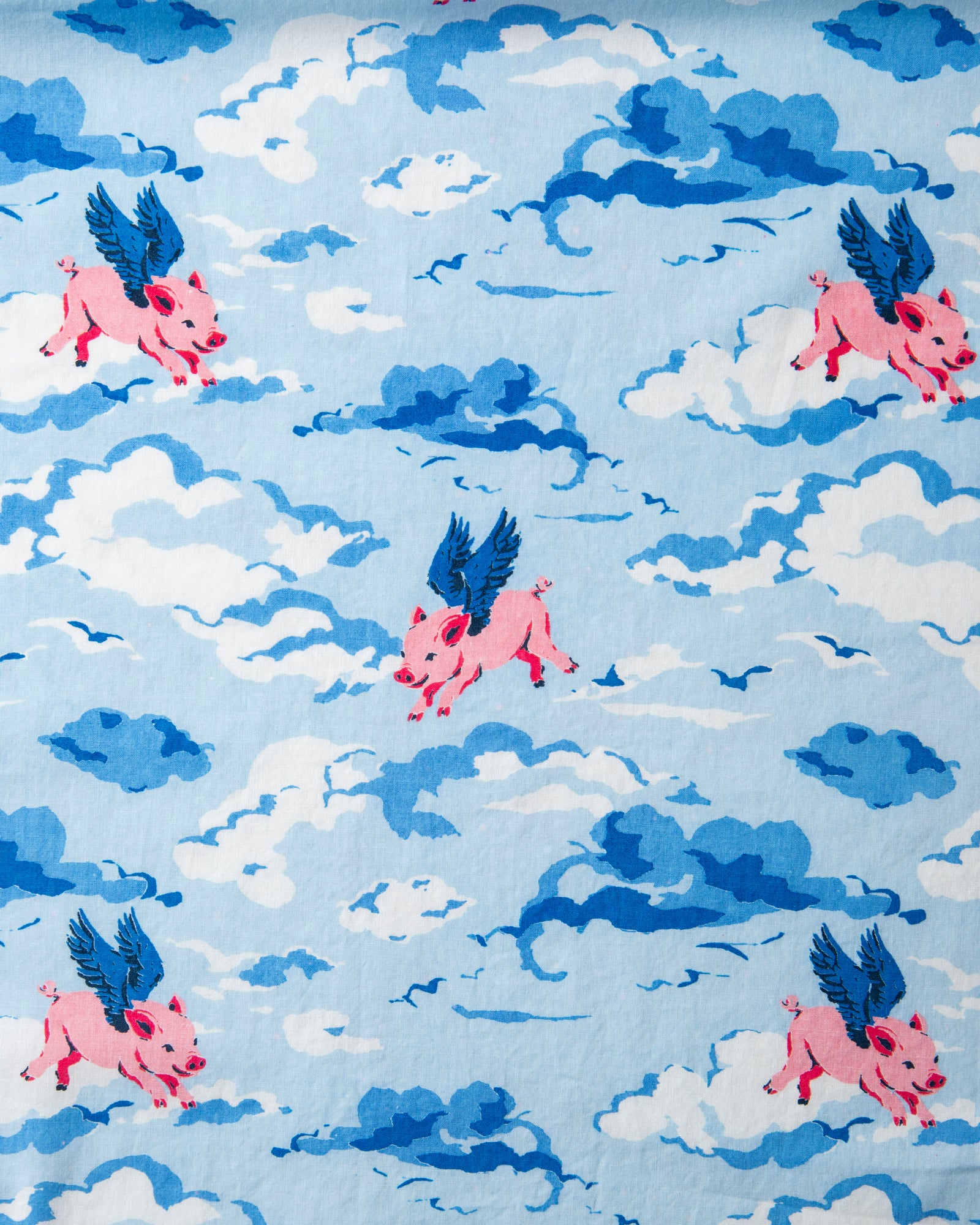 When Pigs Fly - Long PJ Set - Pale Blue - Printfresh