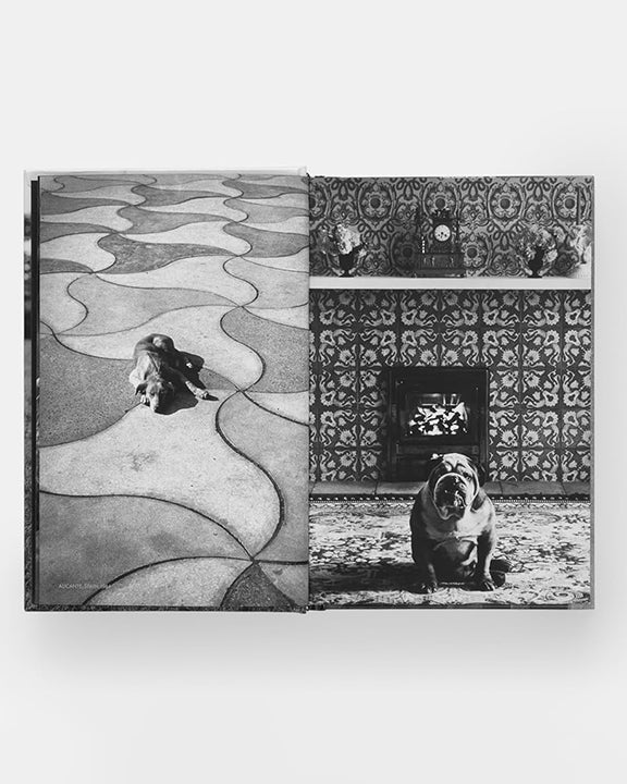 Black - Dogdogs Photography Book - Phaidon - Printfresh