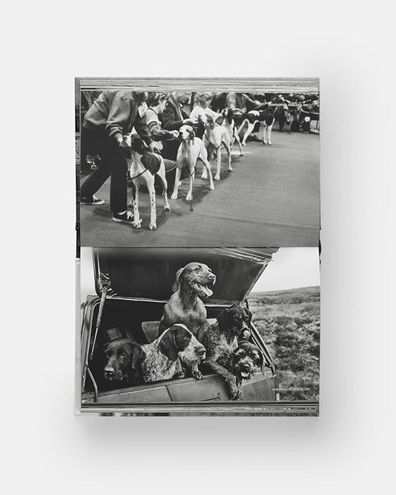 Black - Dogdogs Photography Book - Phaidon - Printfresh