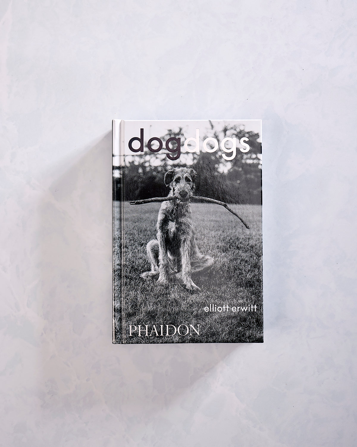 Front cover of Dogdogs by Elliott Erwitt, showing a black-and-white dog holding a long stick outdoors.