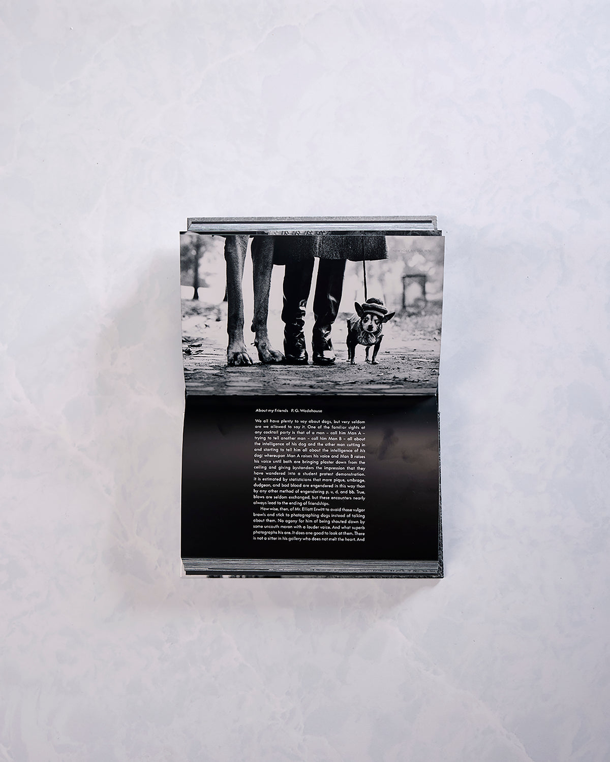 Dogdogs photography book opened to a black-and-white photograph of people walking a small dog, with an essay page below.