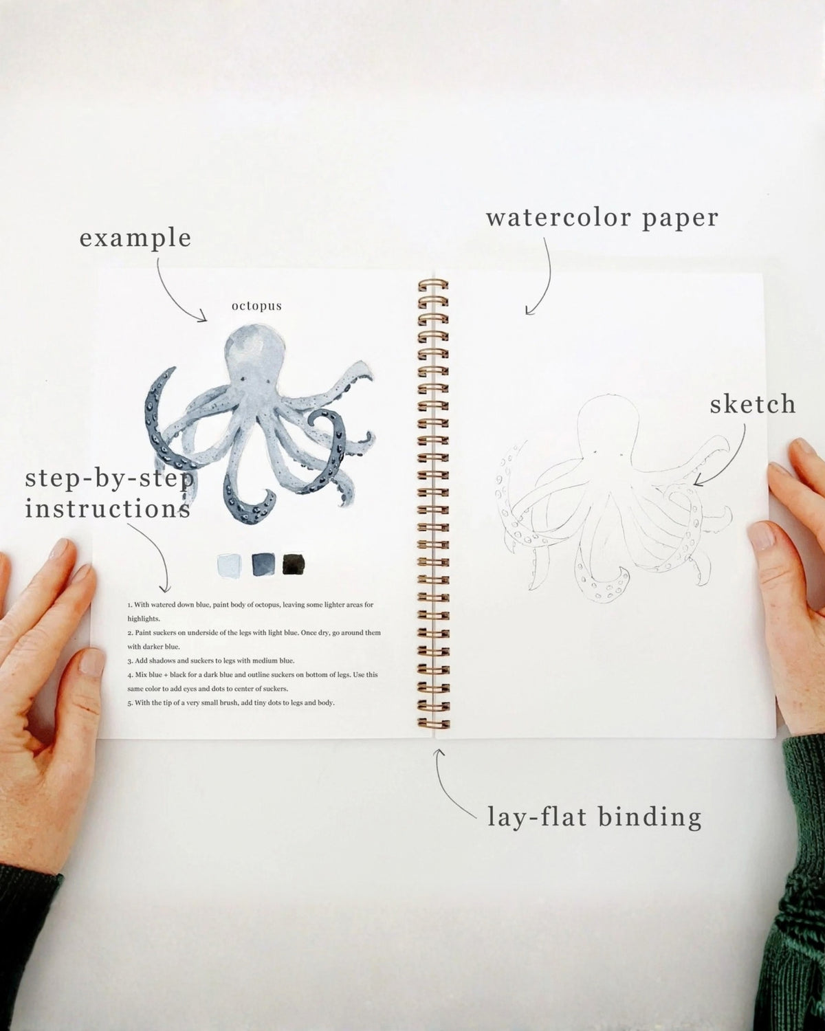 Open watercolor workbook showing an octopus painting example, a sketched octopus, step-by-step instructions, and lay-flat spiral binding.