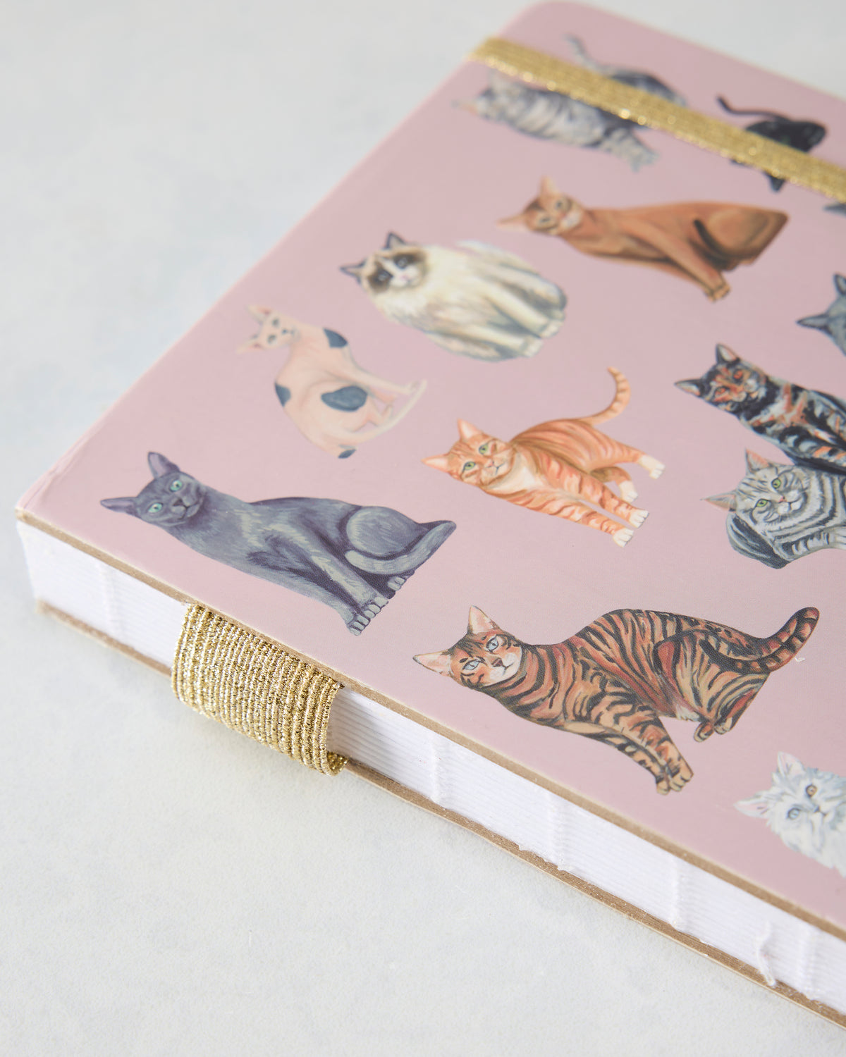 Angled close-up of the cat journal showing its illustrated cover, white page block, and exposed lay-flat binding.