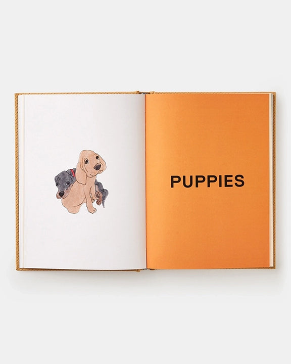 Honey Gold - Feed Me: 50 Home Cooked Meals For Your Dog - Phaidon - Printfresh