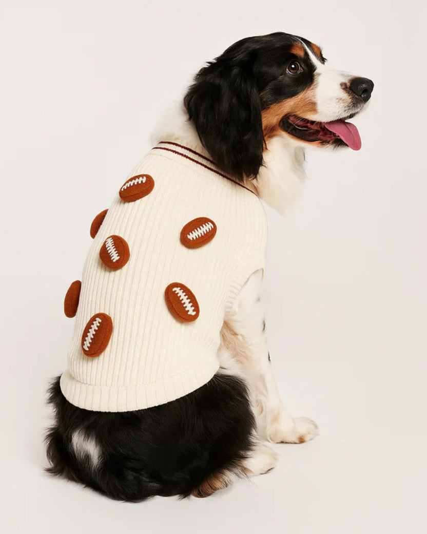 Dog wearing an ivory sweater decorated with brown football appliqués