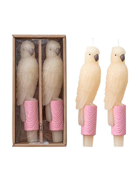 Ivory Combo - Parrot Taper Candle - Hazel Mazel - Printfresh