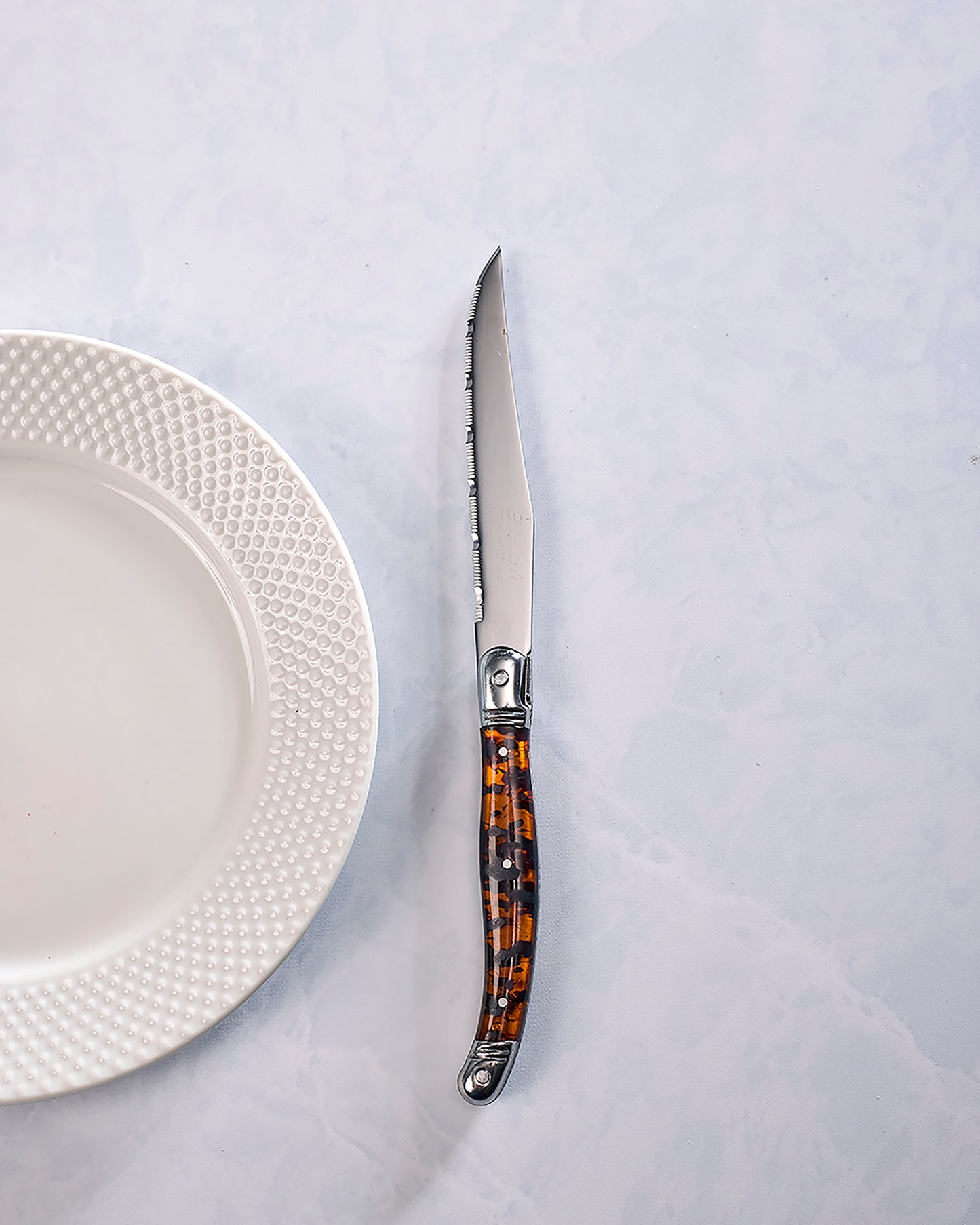 Silver - Laguiole Connoisseur 4-Piece Tortoise Steak Knife Set - French Home