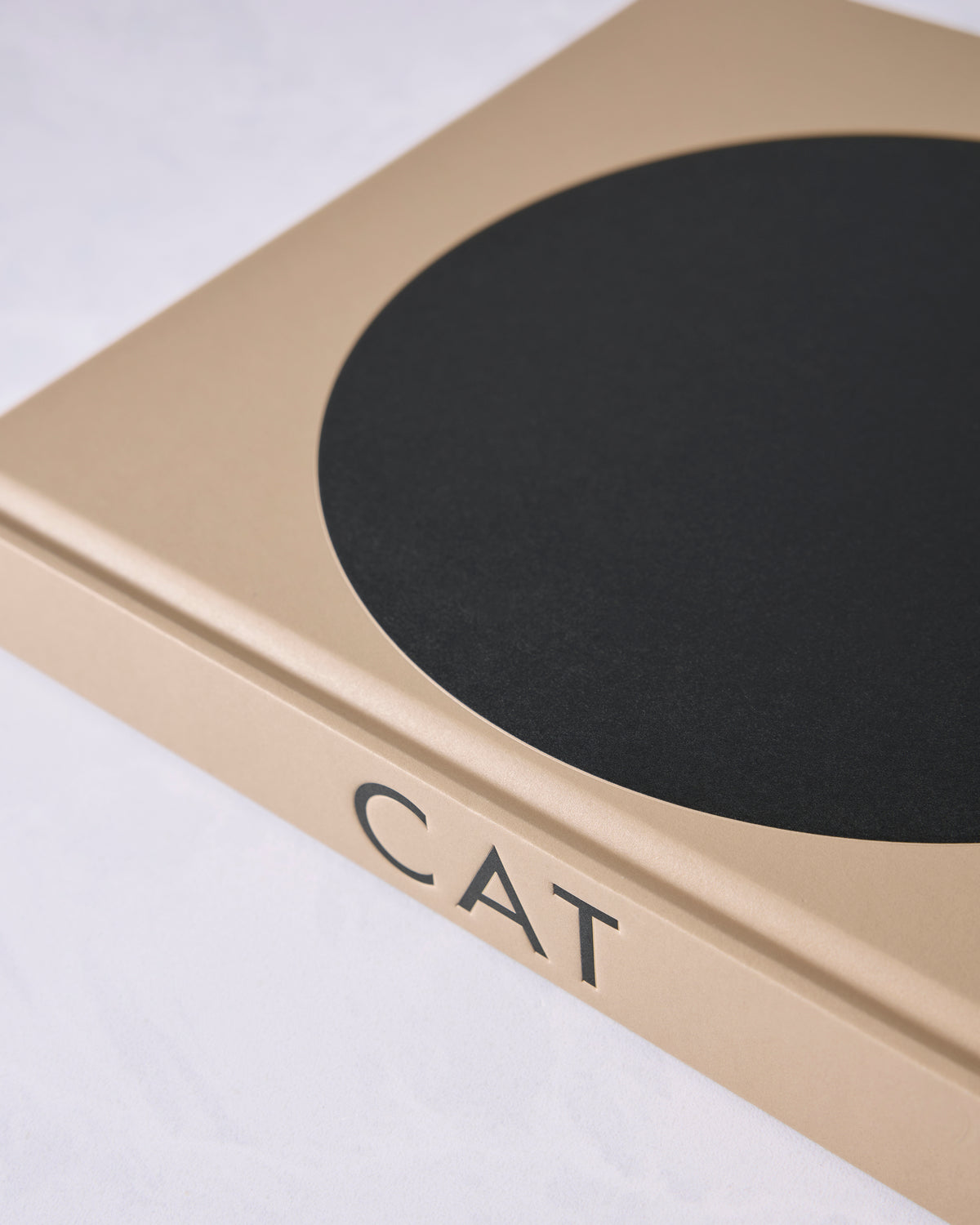 Close-up of the book’s tan cover and page edge, with the title “CAT” visible.