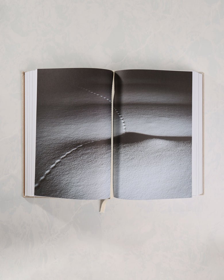 Open interior spread of The Nordic Baking Book featuring a full-page photograph of tracks across snow.
