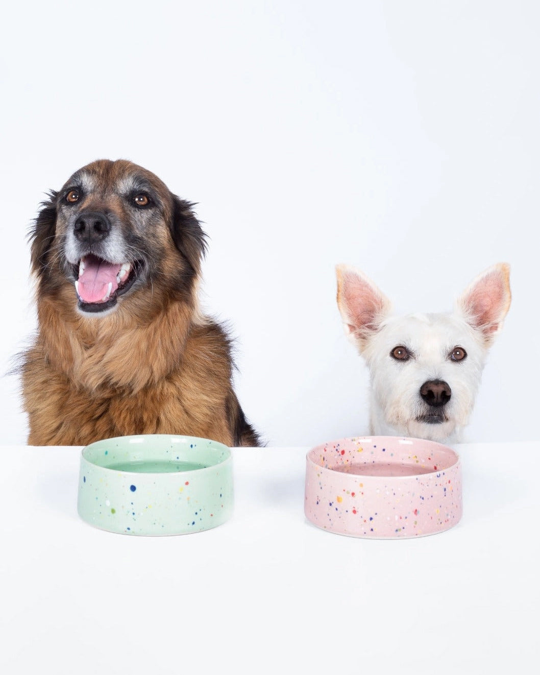 Pink Speckle - New Party Pet Bowl - Egg Back Home - Printfresh