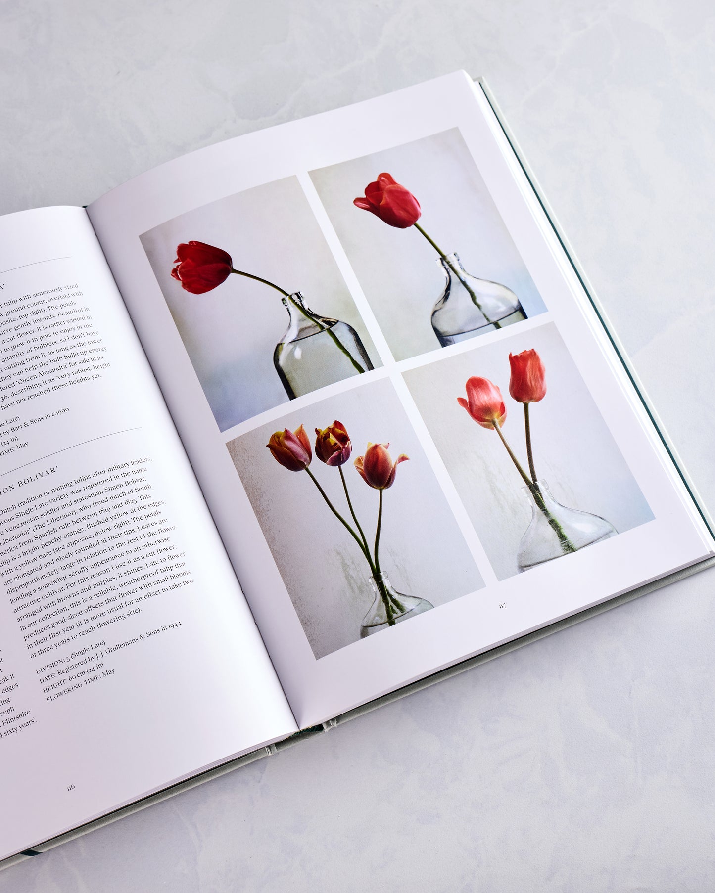 Multi - The Tulip Garden Book - Phaidon - Printfresh