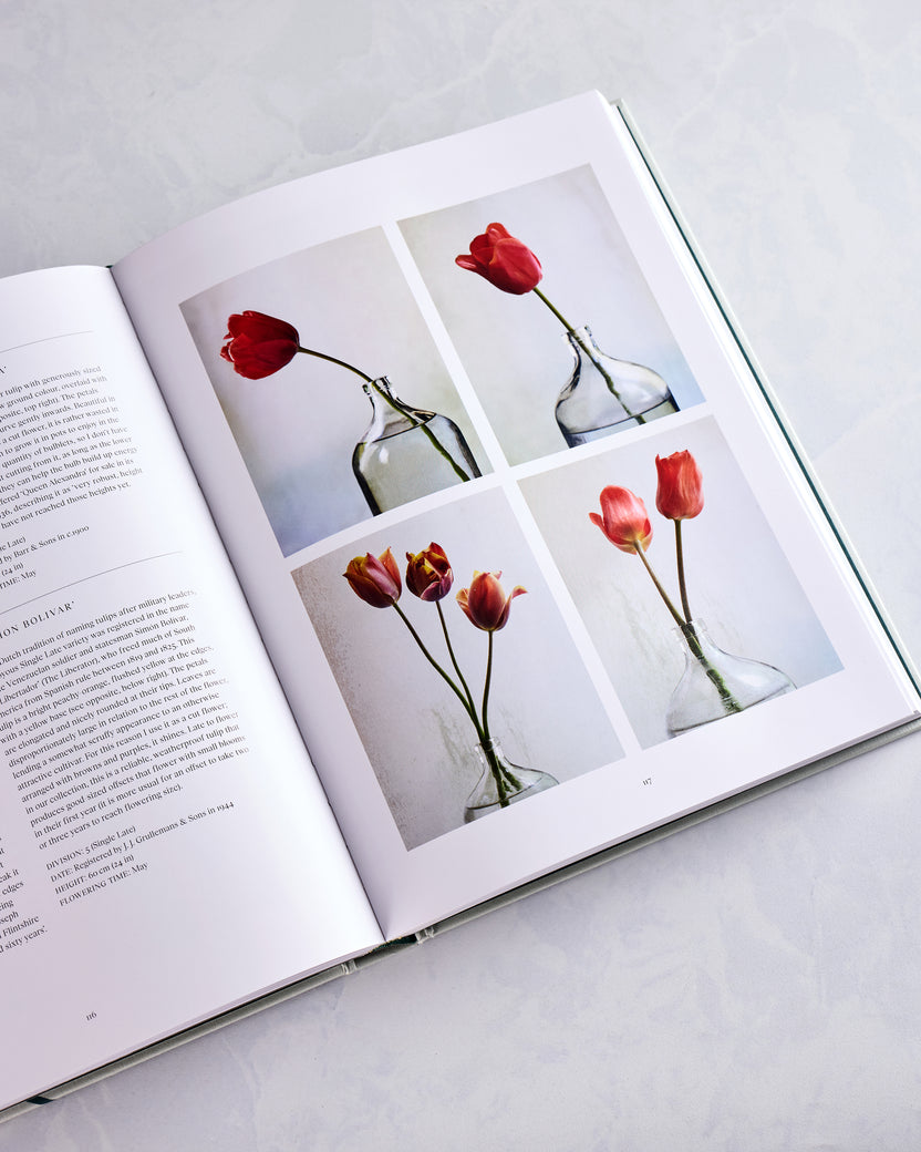 Multi - The Tulip Garden Book - Phaidon - Printfresh