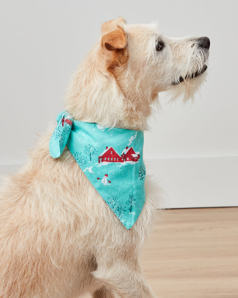 Winter Wonderland - Lightweight Flannel Pet Bandana - Snow Day - Printfresh