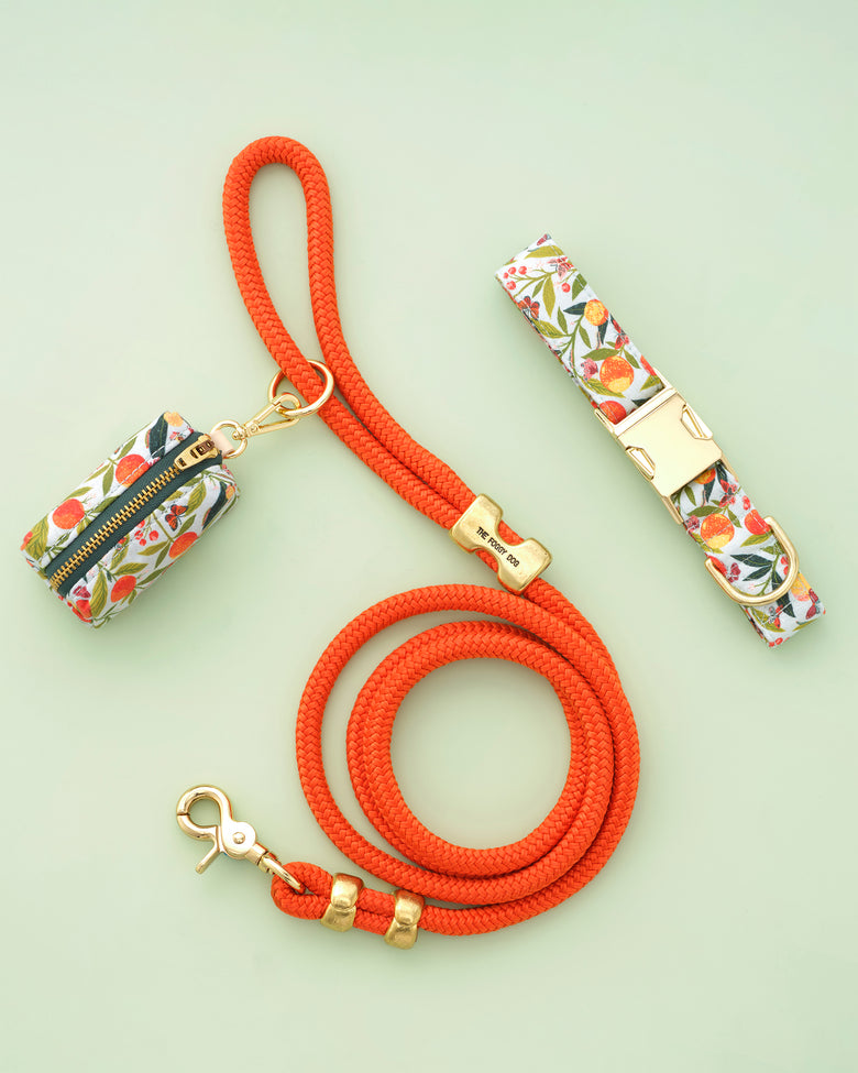PF x The Foggy Dog - Marine Rope Dog Leash - Cider - Printfresh