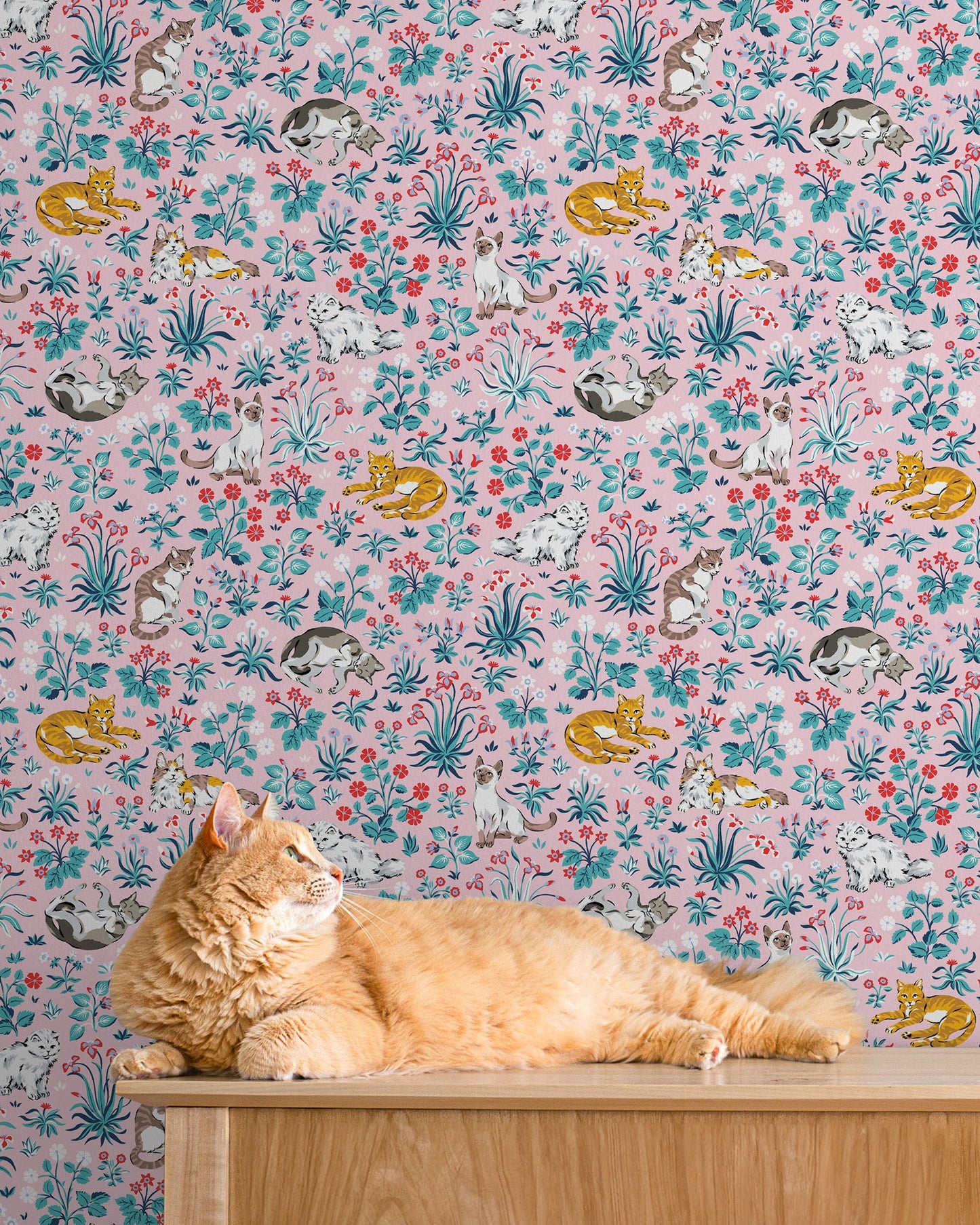 Must Love Cats - Peel & Stick Wallpaper - Pink