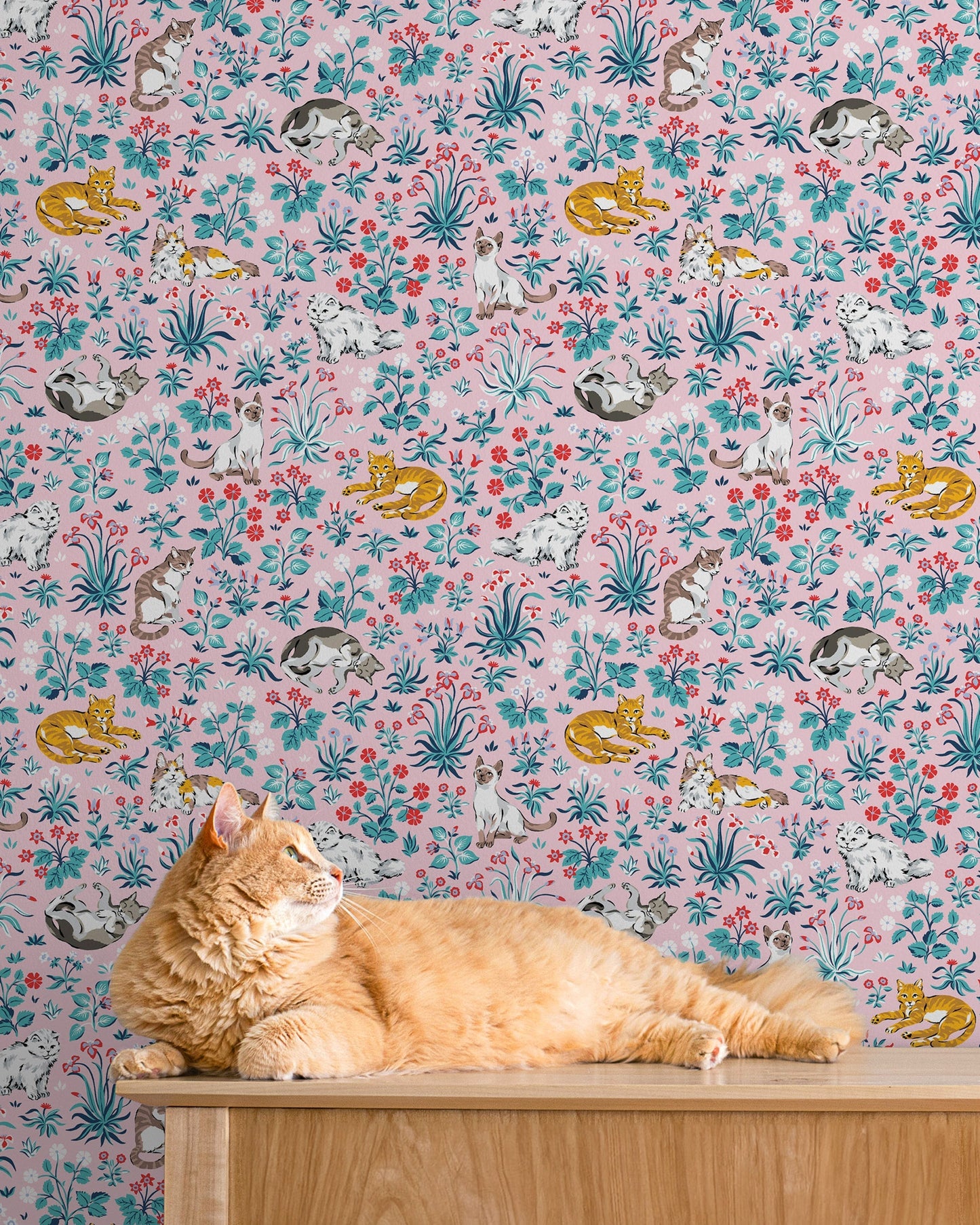 Must Love Cats - Peel & Stick Wallpaper - Pink
