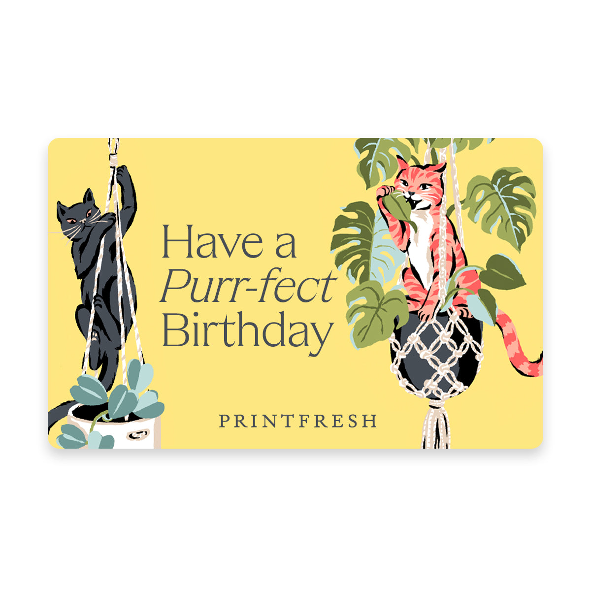 Virtual Gift Card With Instant or Scheduled Delivery