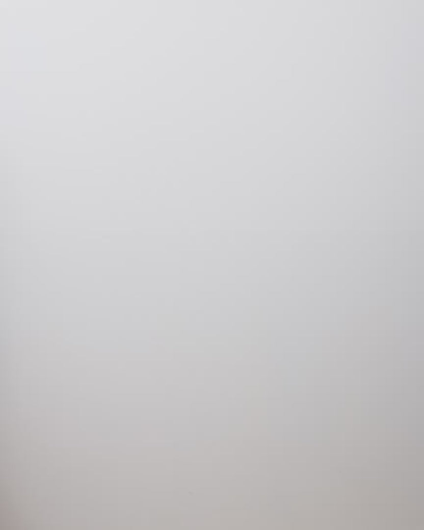 Cabana Cats - Everyday Button Down - Peach Daiquiri