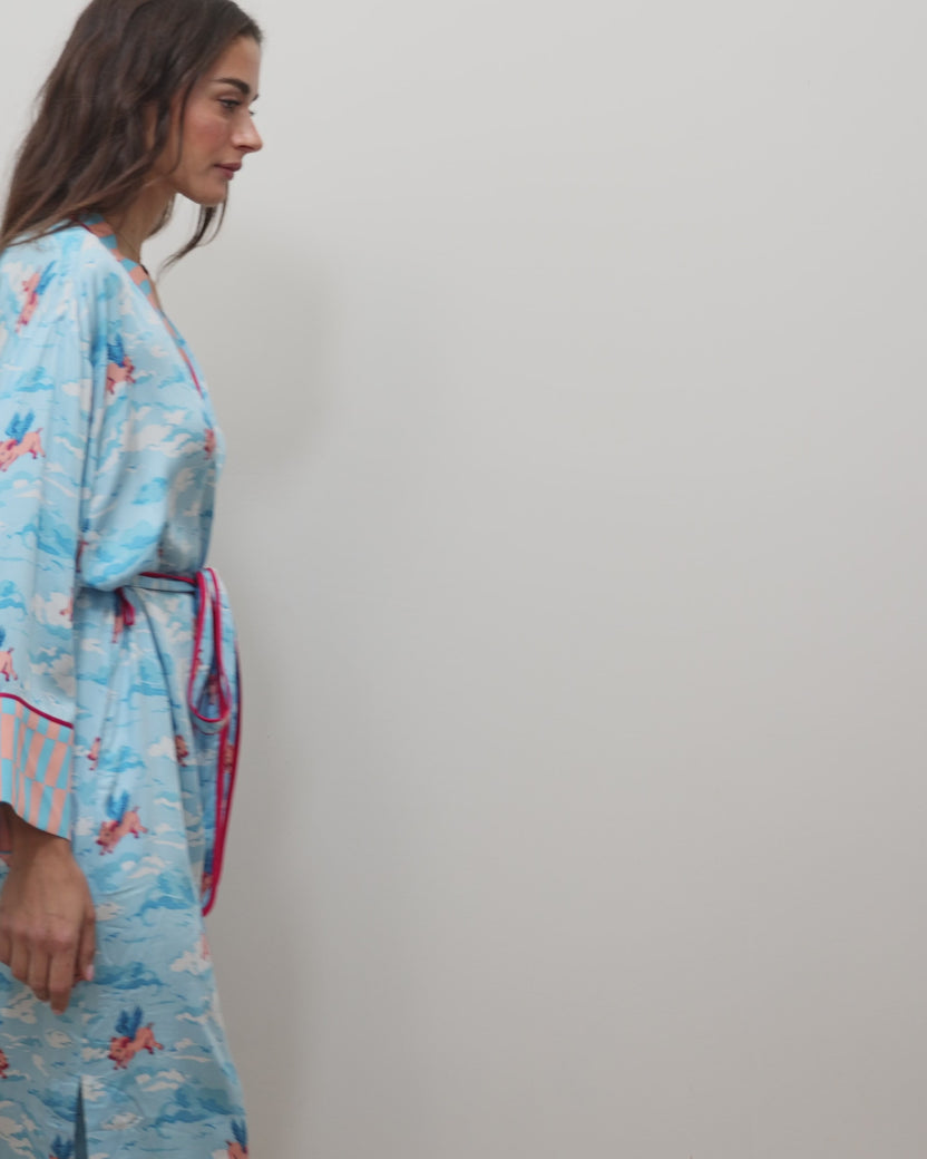 When Pigs Fly - Eco Satin Robe - Pale Blue