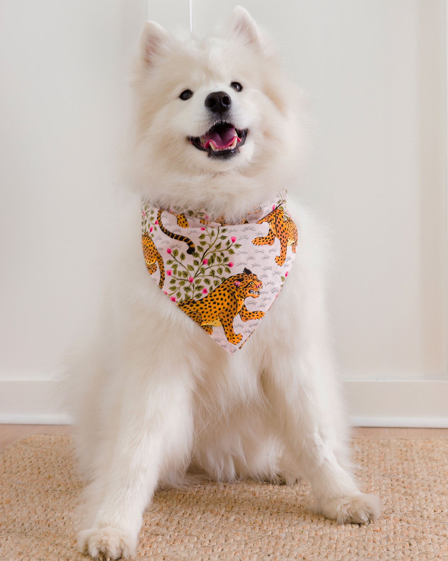 Bagheera - Pet Bandana - Blush - Printfresh