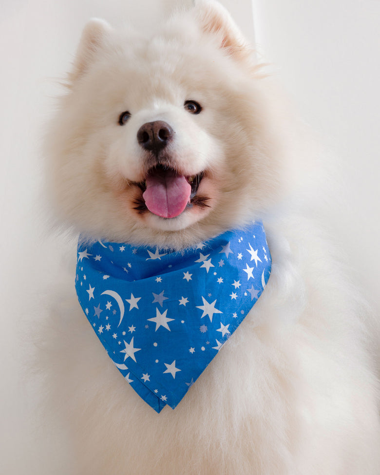 Celestial Skies - Pet Bandana - Beyond the Sea - Printfresh