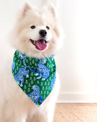 Tiger Queen - Pet Bandana - Jade - Printfresh