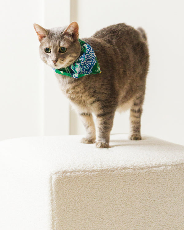 Tiger Queen - Pet Bandana - Jade - Printfresh