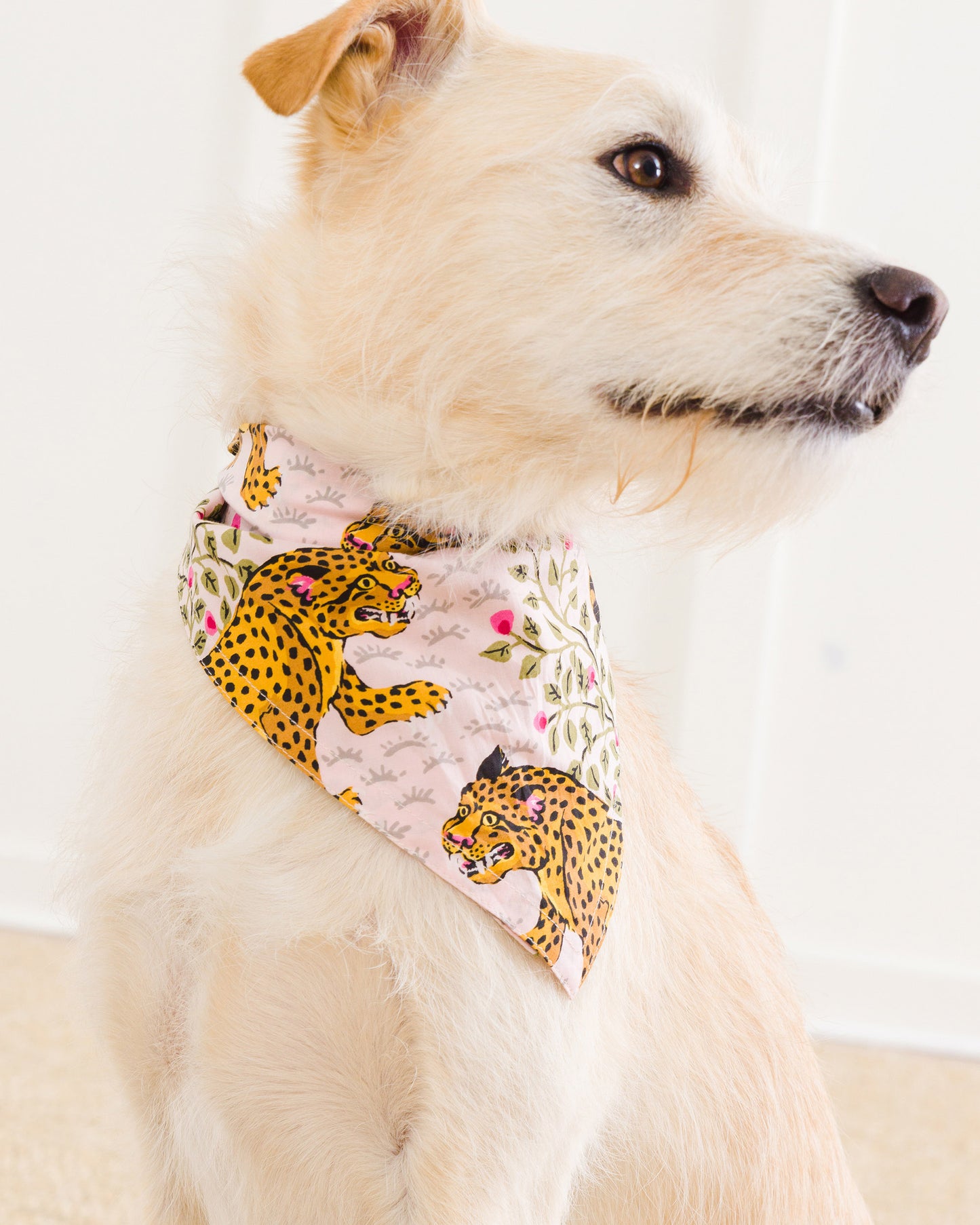 Bagheera - Pet Bandana - Blush - Printfresh