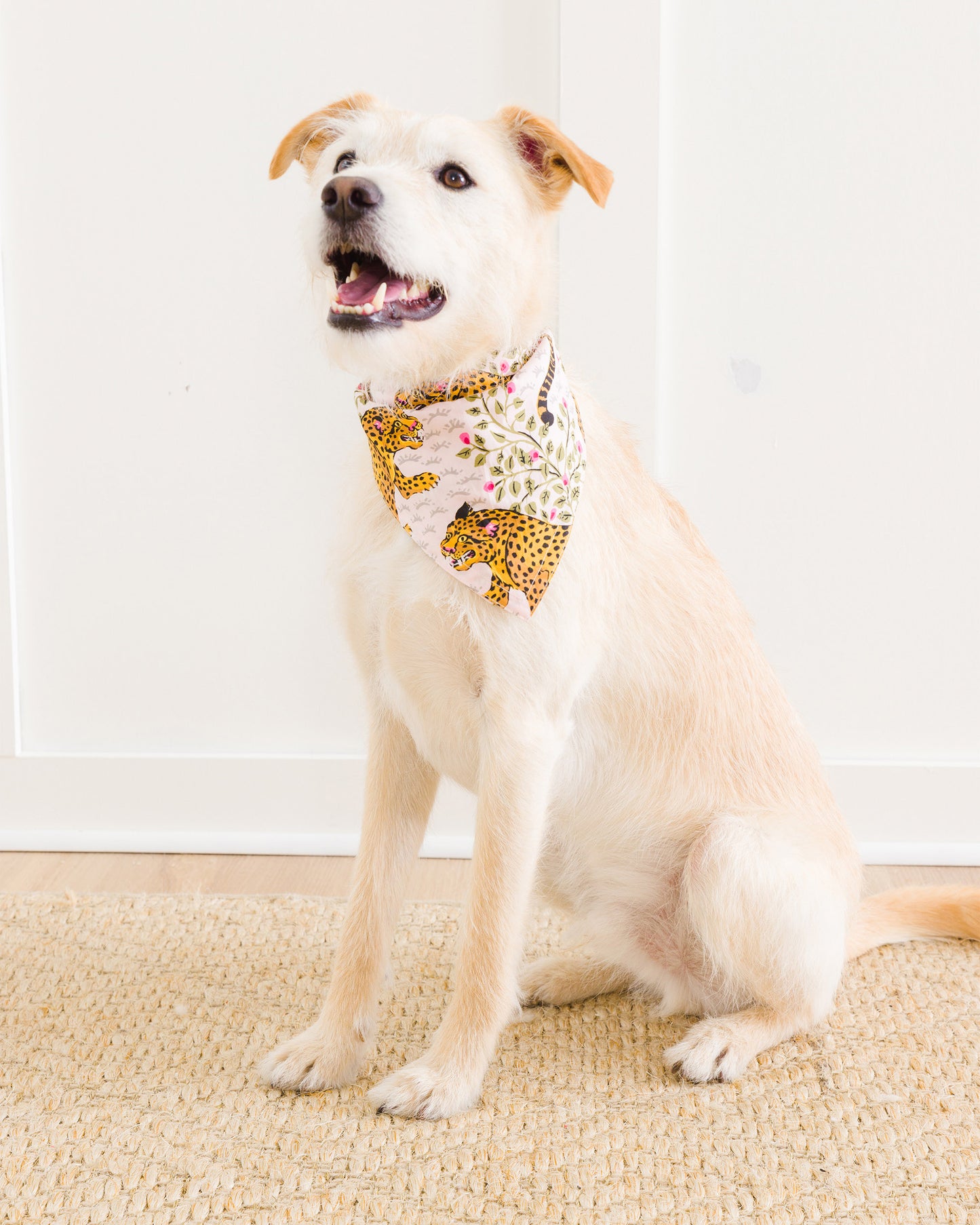 Bagheera - Pet Bandana - Blush - Printfresh