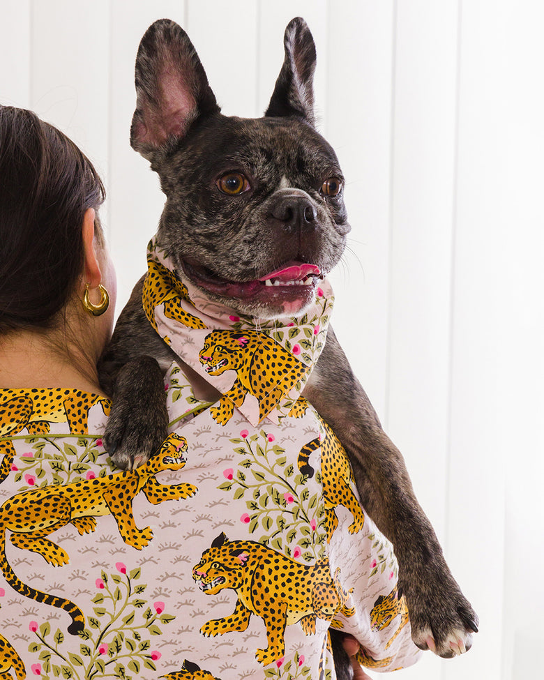 Bagheera - Pet Bandana - Blush - Printfresh