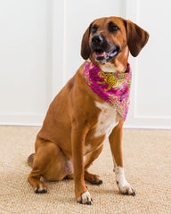 Bagheera - Pet Bandana - Hot Pink - Printfresh