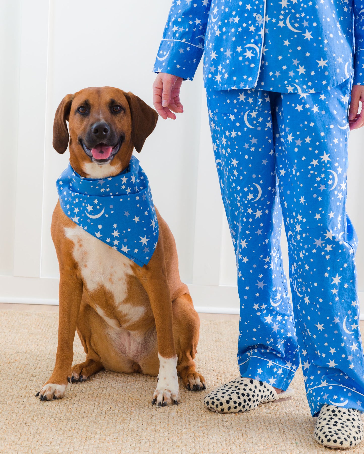 Celestial Skies - Pet Bandana - Beyond the Sea - Printfresh
