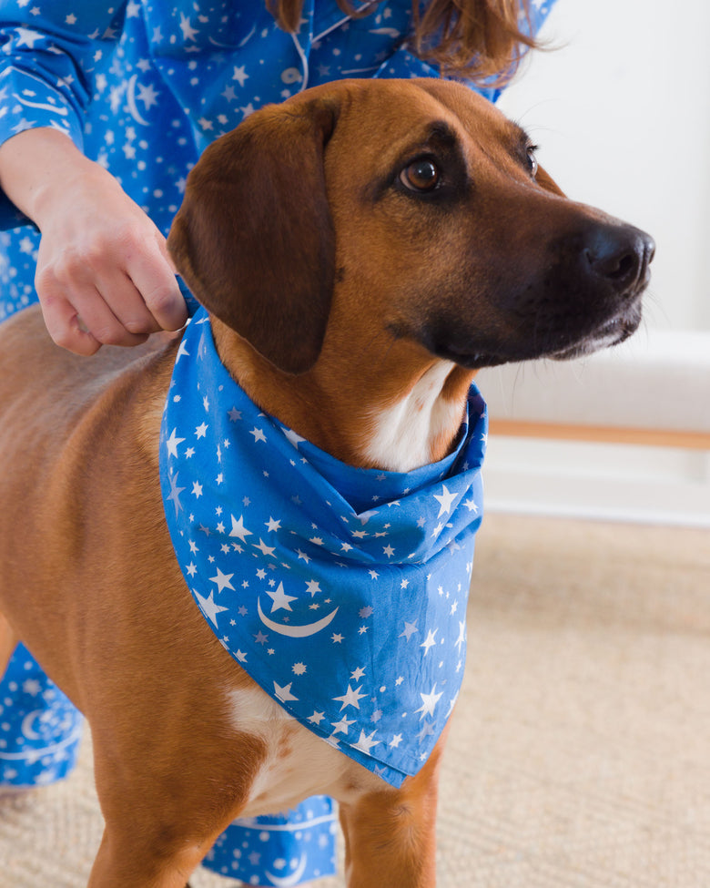 Celestial Skies - Pet Bandana - Beyond the Sea - Printfresh