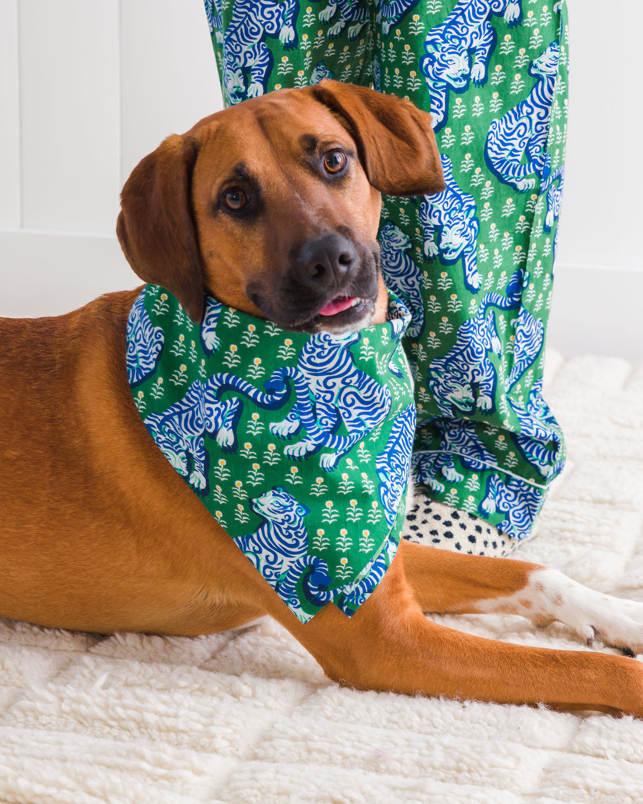 Tiger Queen - Pet Bandana - Jade - Printfresh