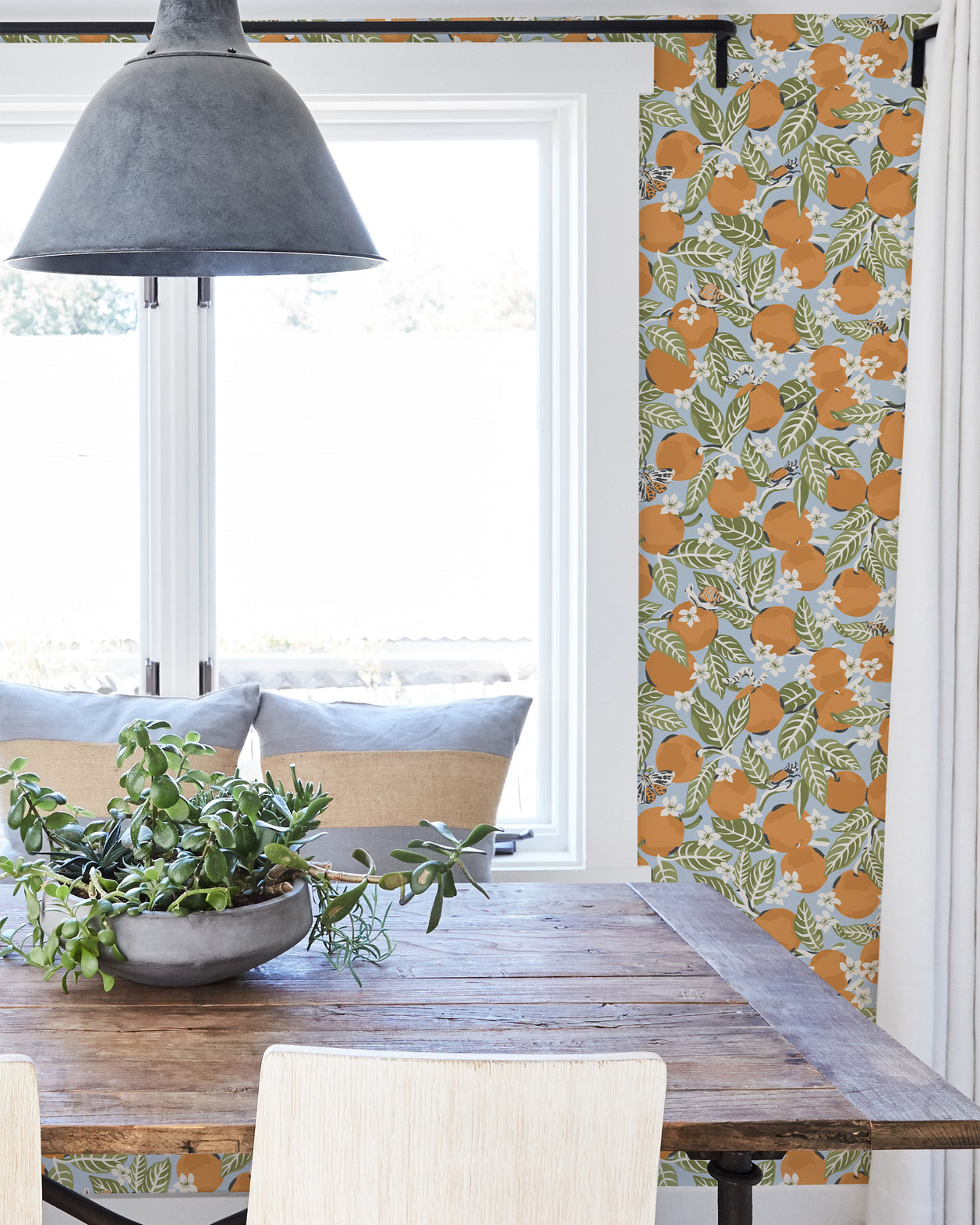 Orange Grove - Peel & Stick Wallpaper - Sky Blue - Printfresh