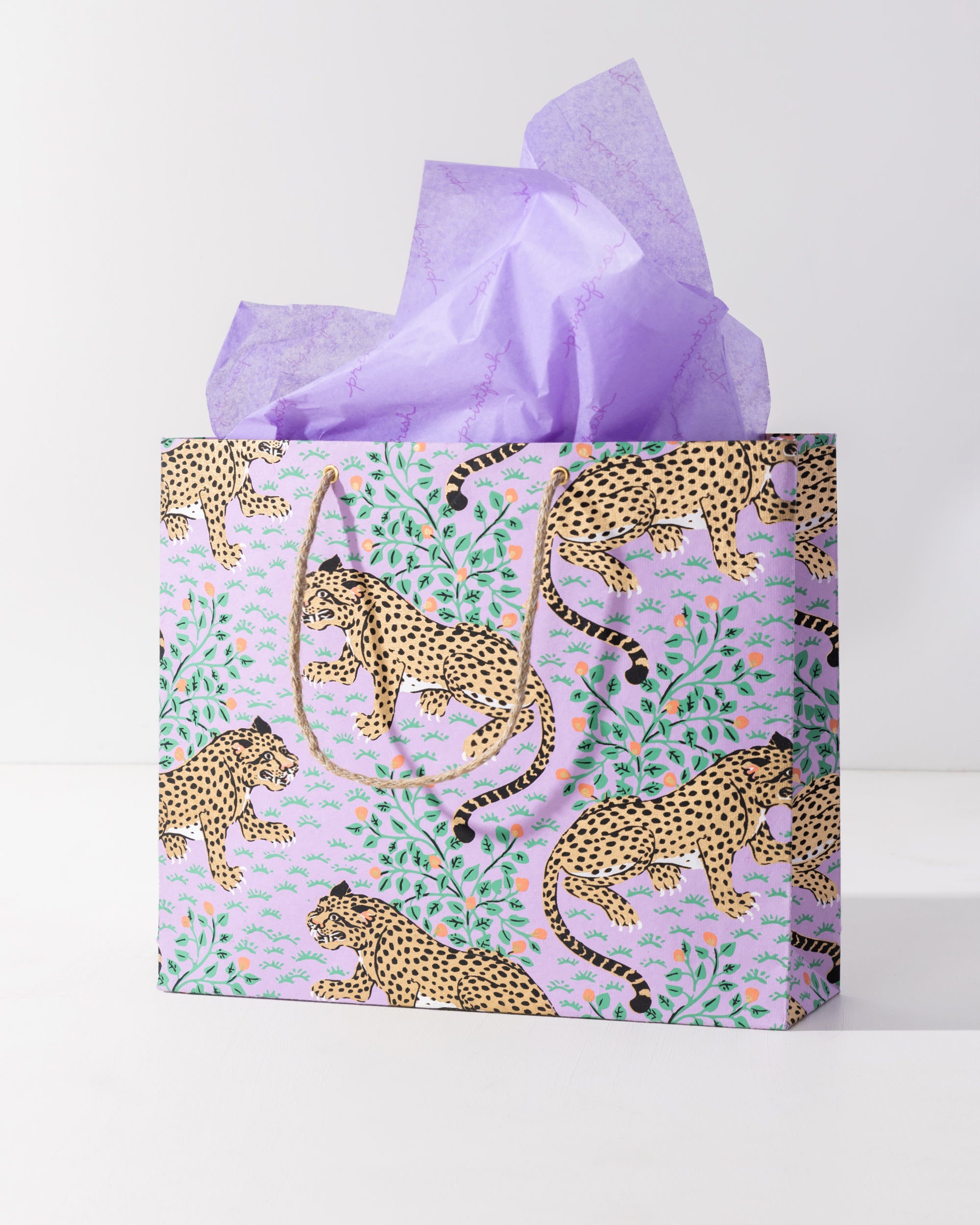 Bagheera - Gift Packaging - Violet - Printfresh