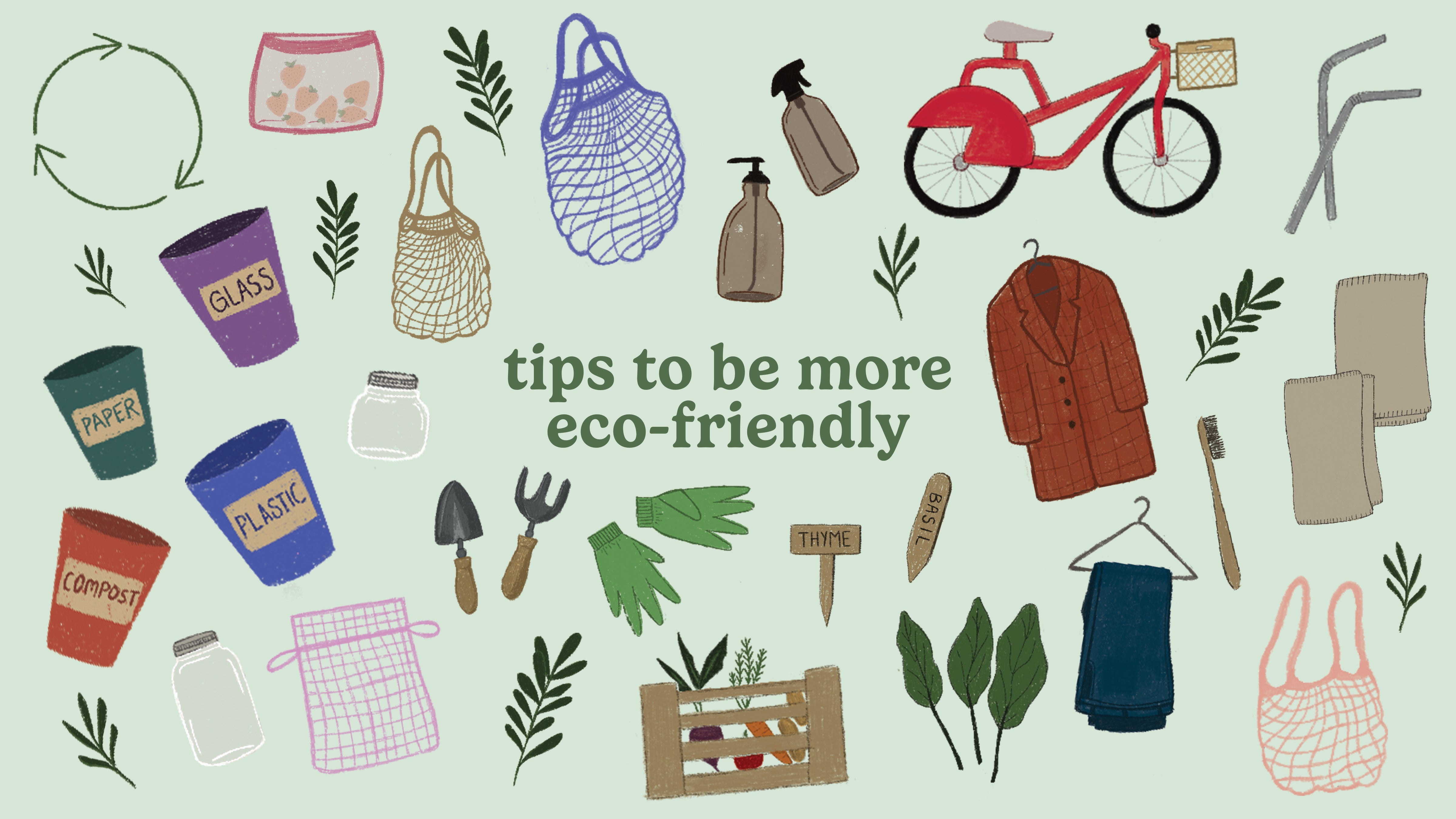 Easy Ways to be More Eco-Friendly: Tips from our Team